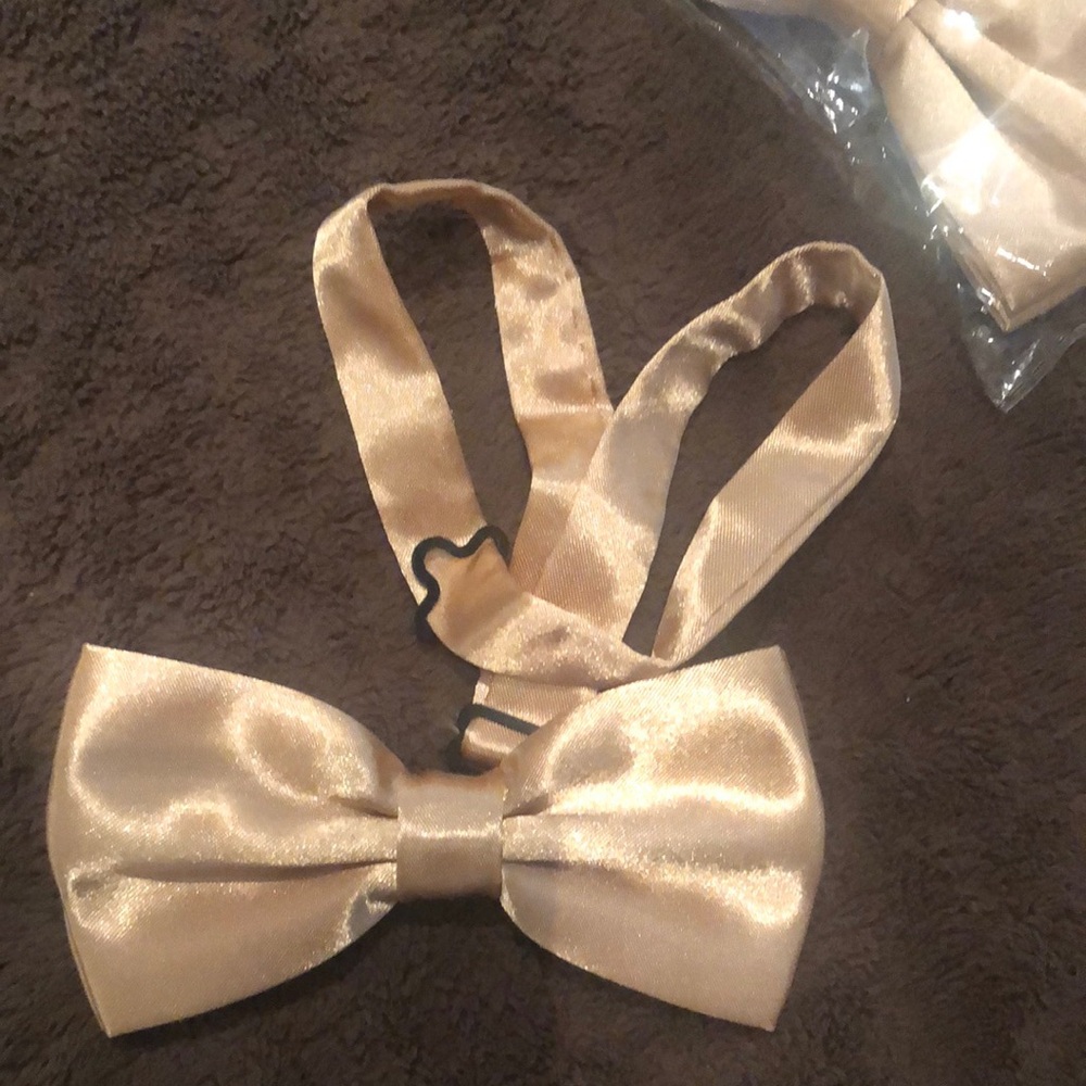 Elegant Satin Bow tie boys